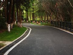 -苏州河梦清园环保主题公园