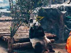 -鄂尔多斯野生动物园