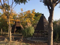 -田园东方蜜桃村的田野营地