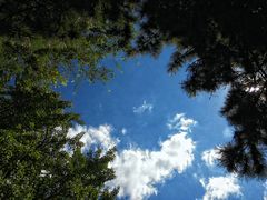 -阳台山自然风景区