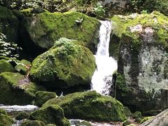 -陕西省红河谷森林公园