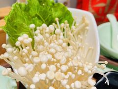 -掂档潮汕牛肉火锅(沈阳万象城店)