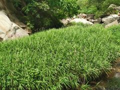 -碓臼峪自然风景区