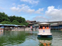 -观澜山水田园