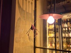 -毛辣果·酸(OHA复兴西路店)