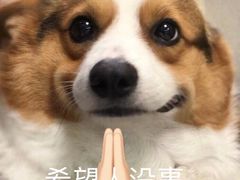 -东怡大酒店(上海科技馆店)