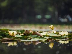 -茅家埠