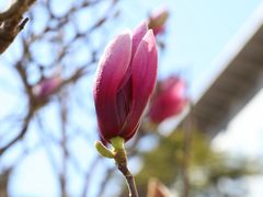 -东华门大街小区