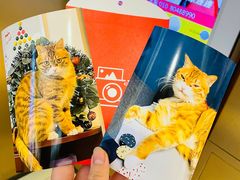 -海底捞火锅(龙湖北京大兴天街店)