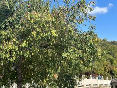 -卧龙堡客栈·中餐厅(古北水镇店)