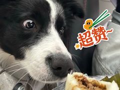-夹江老头叶儿粑(石雁儿小区店)