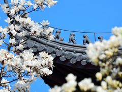 -灵谷景区