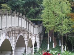 -重庆彩云湖湿地公园