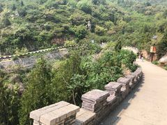 -府君山公园