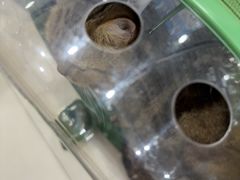 -芭比堂动物医院(广州爱宠下渡路分院)