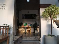 门面-Cafe In Little Forest