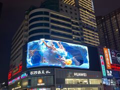 -黄兴南路步行商业街