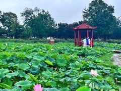 -武汉紫薇都市田园