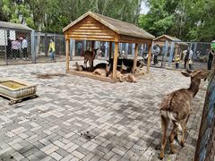 -长白岛森林公园