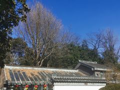 -水绘园