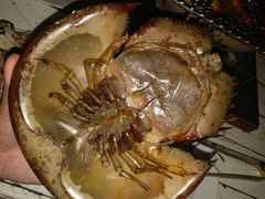 -芭提雅Amporn Seafood自助餐厅