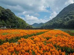 -广州市石门国家森林公园