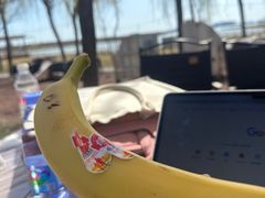 -天津东丽湖风景区