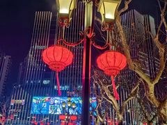 -徐家汇天主堂