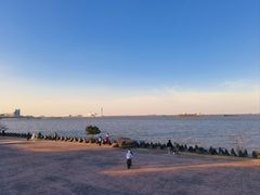 -上海滨江森林公园
