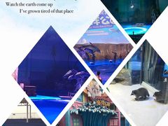 -华夏文旅海洋公园