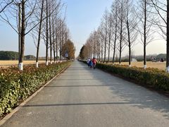-嘉北郊野公园