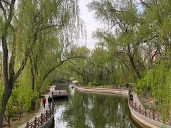 -迎泽公园