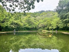 -柯岩风景区