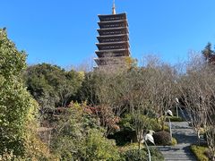 -牛首山文化旅游区