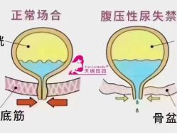 -Dr.林醫生产后修复·配方产康(南京江宁万达店)