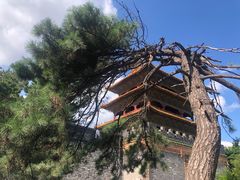-北陵公园