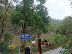 -青龙山国家森林公园