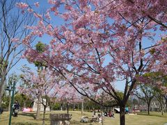 -新江湾城公园