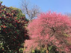 -浙江宾馆·花园餐厅·自助餐厅·茶吧