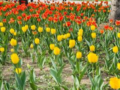 -长春公园(普阳街道)