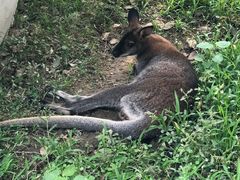 -广东花都香草世界旅游度假区