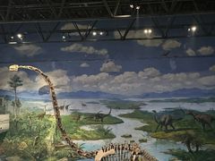 -自贡恐龙博物馆