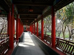 -南汇桃花村
