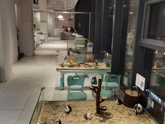 -怪兽屋·羊驼·猫咖·狗咖(俊华广场店)