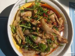 化骨绵掌-付掌柜在成都·热炒砂锅集(金禾店)