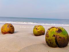 -花乐餐厅(涠洲岛店)