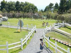 -玉苍山国家森林公园