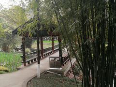 -重庆彩云湖湿地公园