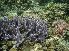 DSCN0476-卡帕莱度假村(西巴丹岛)