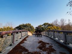 -上海海湾国家森林公园